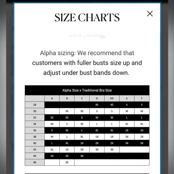 Thistle and Spire Outlaw bustier rodeo collection 3X bralette bra top - Picture 13 of 14